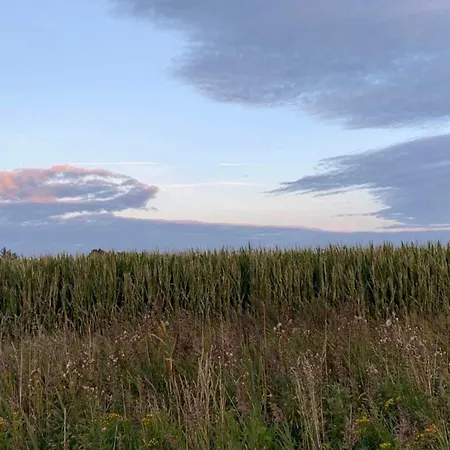 Seaside Charm In Havneby - By Traum Tatil Evi