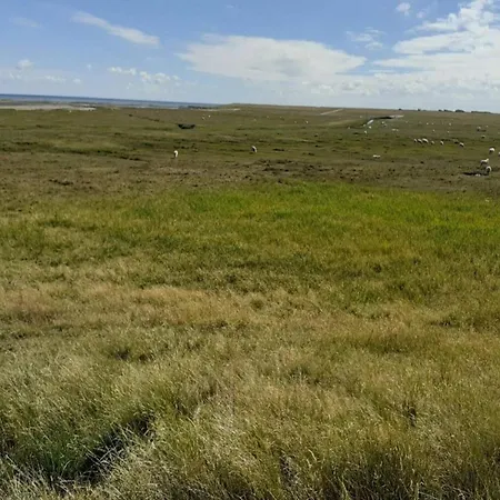 Tatil Evi Seaside Charm In Havneby - By Traum *