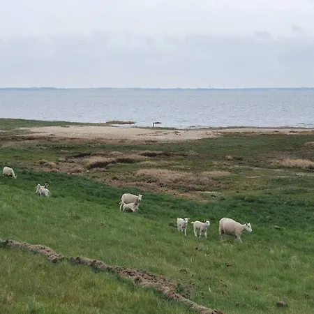 בית נופש Seaside Charm In Havneby - By Traum *