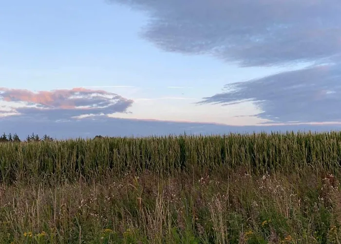 Seaside Charm In Havneby - By Traum Σπίτι διακοπών