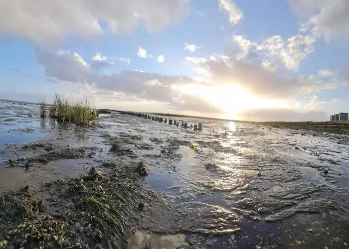 Seaside Charm In Havneby - By Traum * Rømø Kirkeby