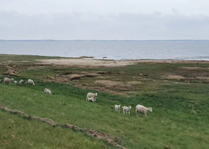 Feriehus Seaside Charm In Havneby - By Traum *