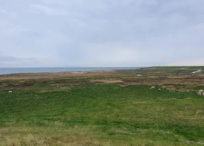 Seaside Charm In Havneby - By Traum Σπίτι διακοπών *