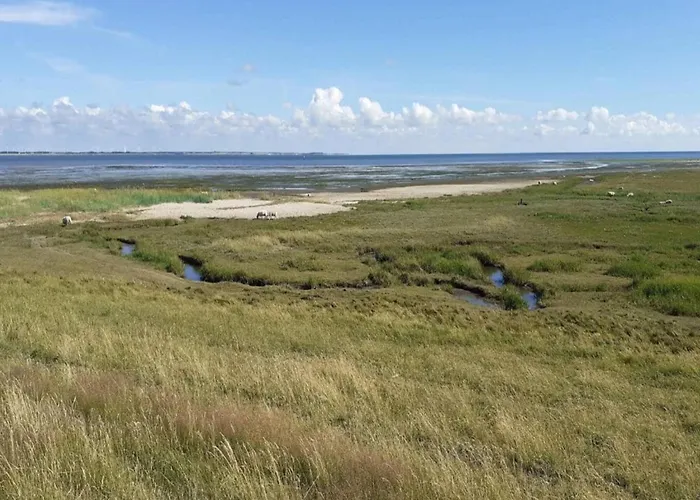 Seaside Charm In Havneby - By Traum Feriehus *